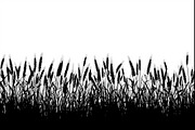 Farm Silhouette Wheat Clipart Set, an Illustration by BIPLOB EXPERT (Thumbnail 8 of 9)
