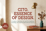 Cito - Minimalist Luxury Serif, a Serif Font by Astuti Studio (Thumbnail 4 of 28)