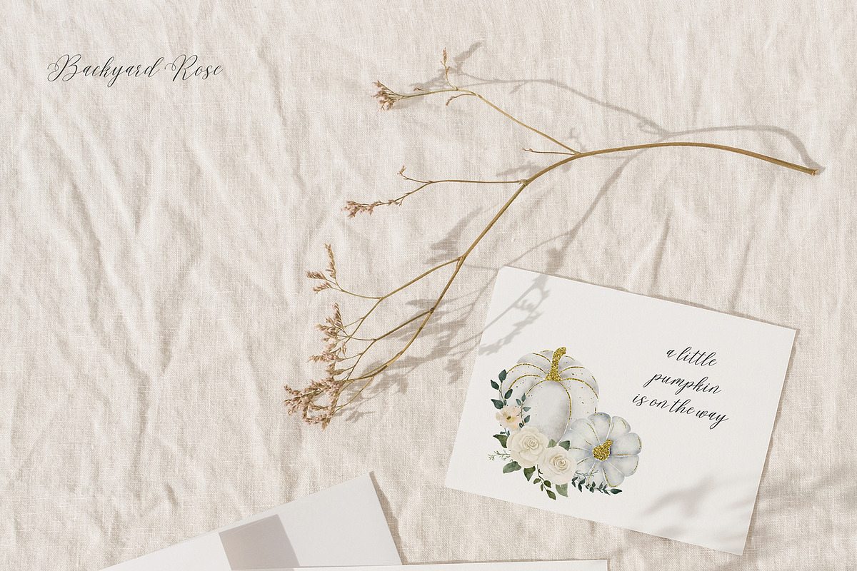 White & Gold Watercolor Pumpkins, a Texture Illustration by Backyard Rose (Photo 2 of 11)