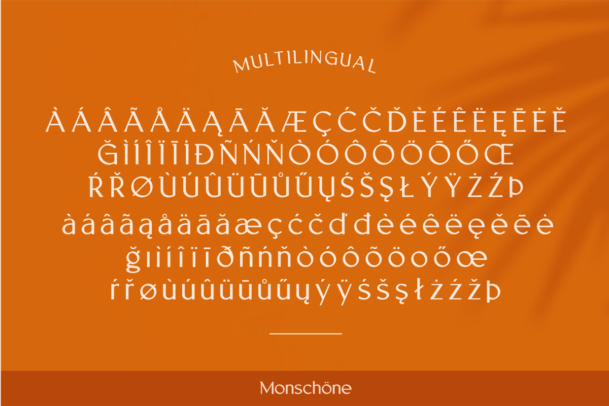 MONSCHONE, a Serif Font by Bagerich Type Foundry (Photo 4 of 10)