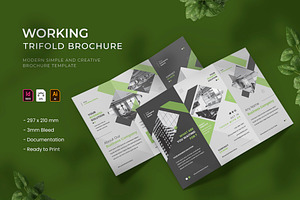 Working - Trifold Brochure