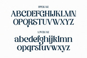 Bartho Class - Elegant Serif, a Serif Font by Qweera Studio (Thumbnail 9 of 12)
