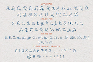 QUALIRVEY Fanky Curvy Font