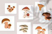 Autumn mushrooms, forest fungi set, a Food Illustration by Good Studio (Thumbnail 6 of 6)