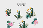COSTA RICA — jungle animals, an Animal Illustration by Lana Elanor (Thumbnail 4 of 11)