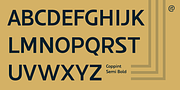 Coppint, a Sans Serif Font by Ridtype Foundry (Thumbnail 5 of 12)