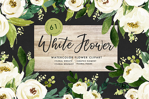 Watercolor White Flower Clip Art