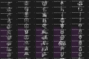 Bundle Prison&CriminalTattoos-Stamps, a Brush Add-On by LA Studio Sthlm (Thumbnail 8 of 13)