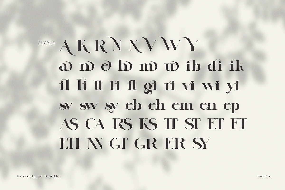 Lugife Elegant Serif, a Serif Font by Perfectype (Photo 9 of 9)