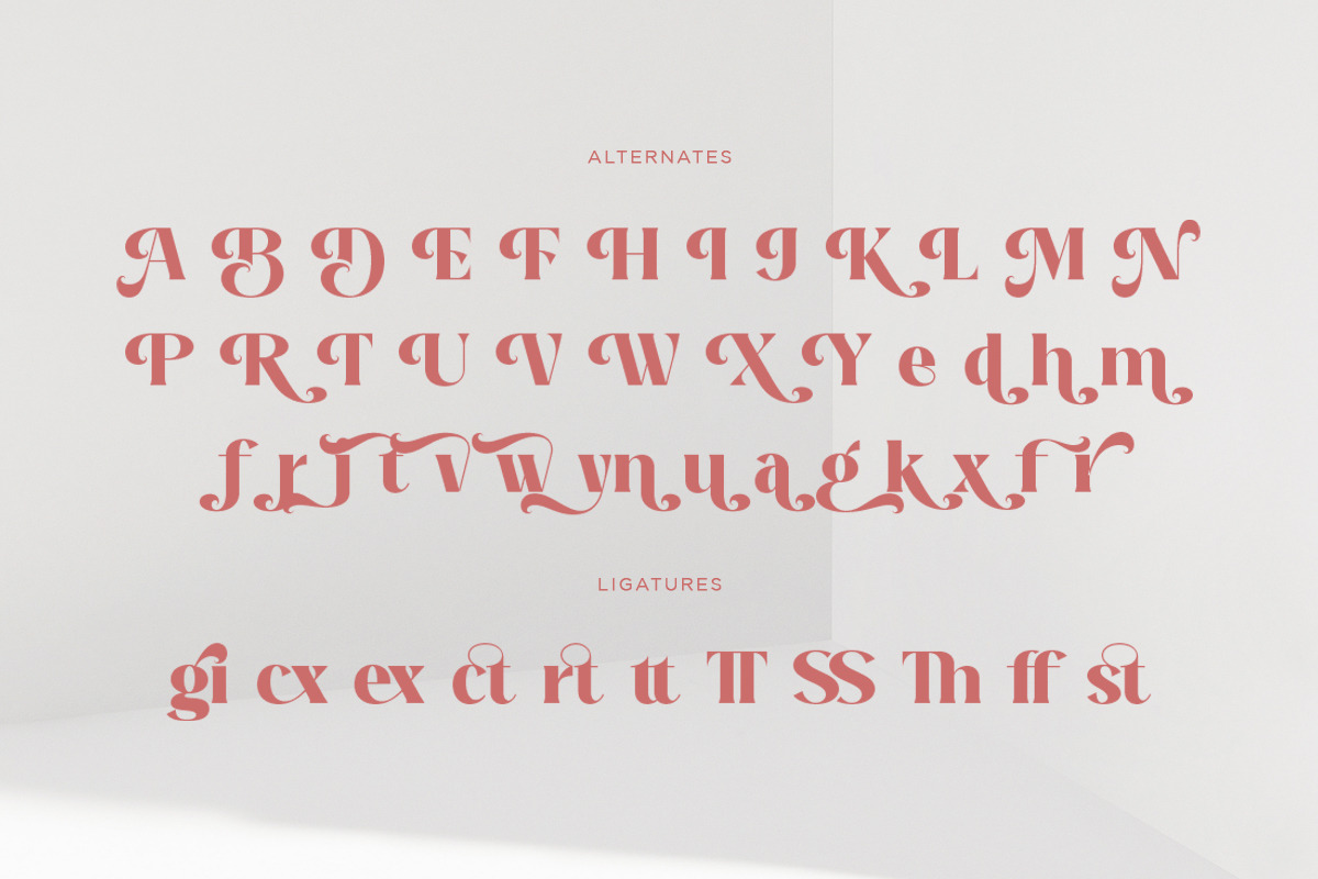 Another Beauty - Stylish Serif, a Serif Font by Shakira Studio (Photo 9 of 10)