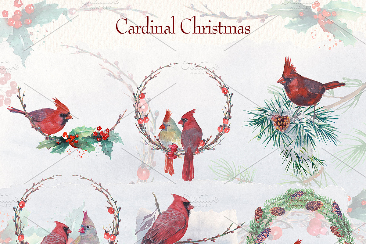 cardinal christmas watercolor, a Decorative Illustration by Art & Things (Photo 10 of 11)