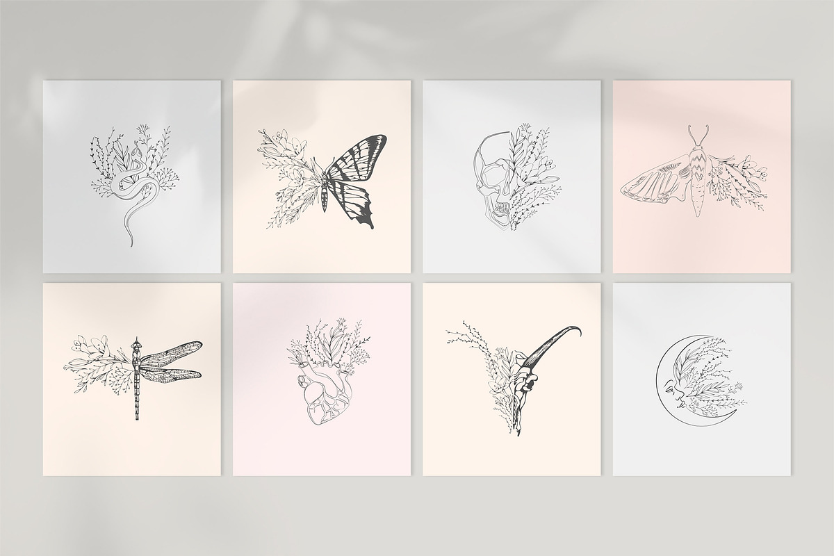 Botanical posters, a Decorative Illustration by Merfin (Photo 5 of 7)