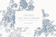 Vintage Line Art Flowers clipart, a Decorative Illustration by BlumenSoul (Thumbnail 1 of 10)