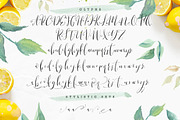 Lemons & Soda Script Font, a Script Font by Creativeqube Design (Thumbnail 13 of 17)