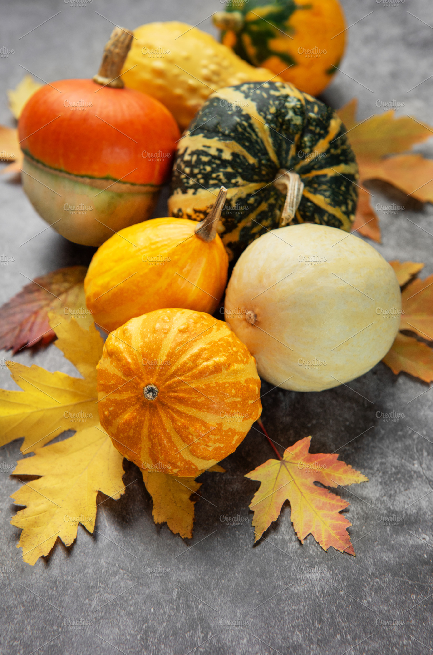 Autumn gourds and squash with colorful fall leaves, a Food & Drink Photo by Olena Rudo
