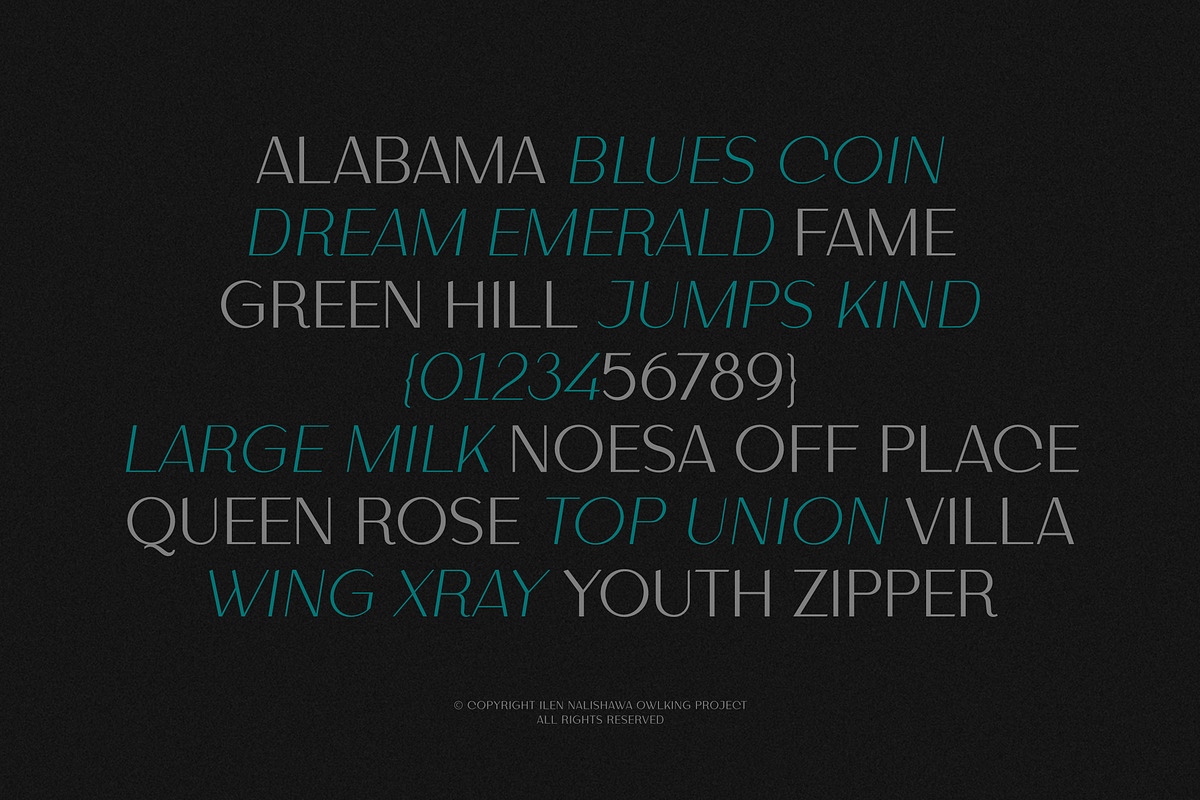 Helnore, a Sans Serif Font by OWL KING (Photo 2 of 8)