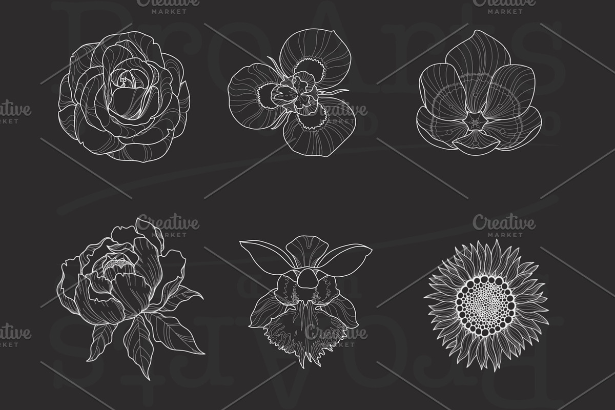 Ornament + Flowers, Pattern + Flower, a Brush Add-On by Lucrumplus (Photo 5 of 10)