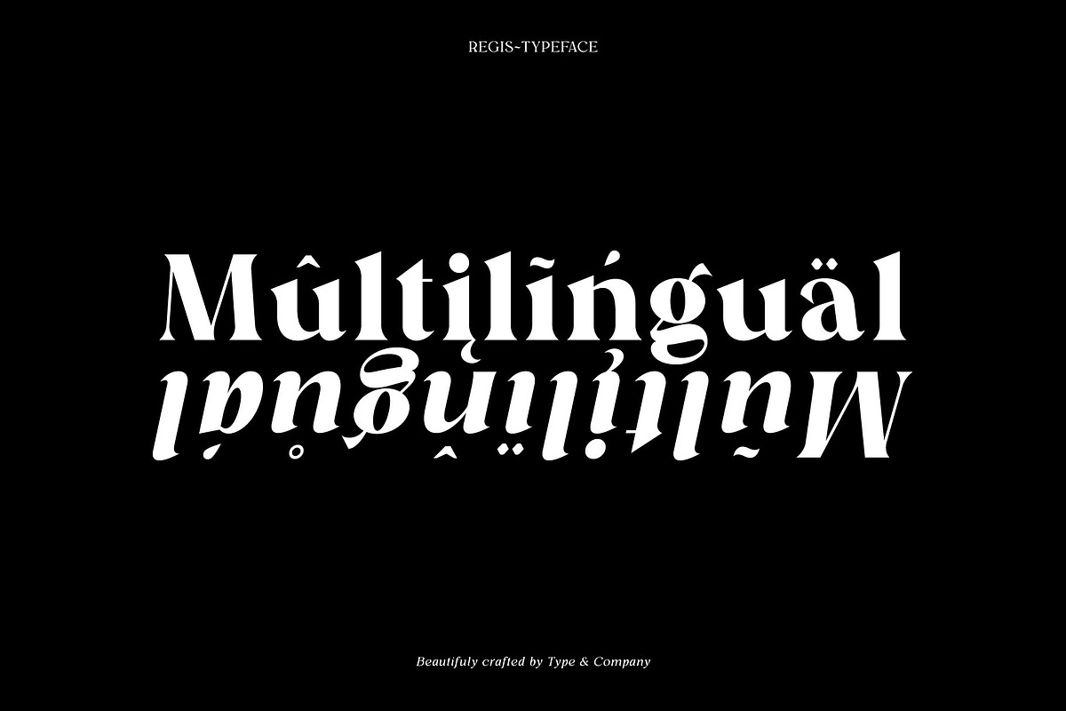 Regis | Elegant Serif Font Family, a Serif Font by Type and Co. (Photo 20 of 20)