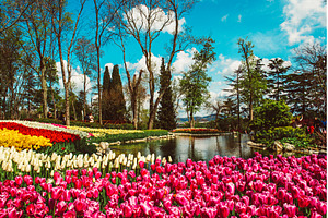 Emirgan Park, Istanbul, a Nature Photo by Nature and travel