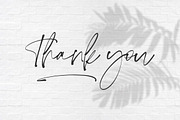 Ivory Coast, a Script Font by AMINMARIO (Thumbnail 9 of 10)