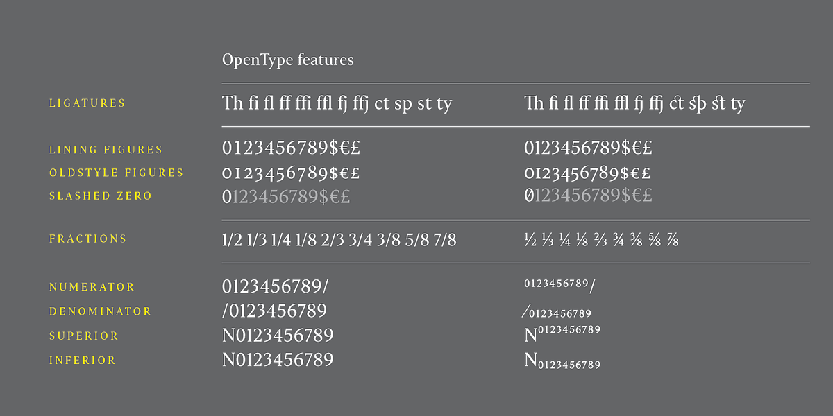 Haggard Nova, a Serif Font by TipografiaRamis (Photo 9 of 9)