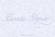 Studio Nomad // Script Family, a Script Font by PeachCreme (Thumbnail 18 of 23)