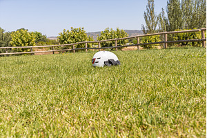 A white helmet on the green grass