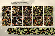 Autumn Forest. Big Graphic Set., a Decorative Illustration by Red Ink (Thumbnail 9 of 10)