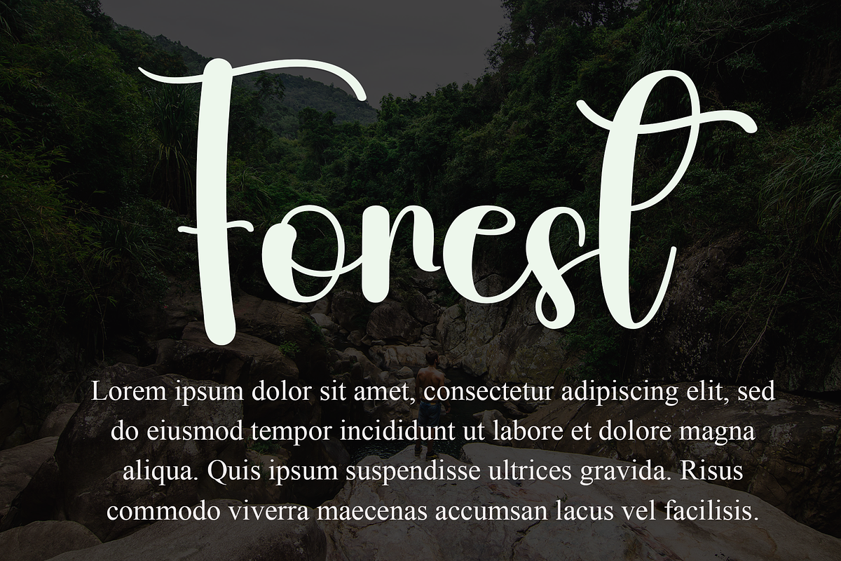 Jungle, a Handwritten Font by InermediaSTUDIO (Photo 6 of 8)