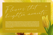 Modesta Outlook Stylish Handwritten, a Script Font by stylishtype.co (Thumbnail 7 of 20)