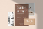 Instyles Collective - Modern Font, a Serif Font by TropicalSunlightCo. (Thumbnail 3 of 13)