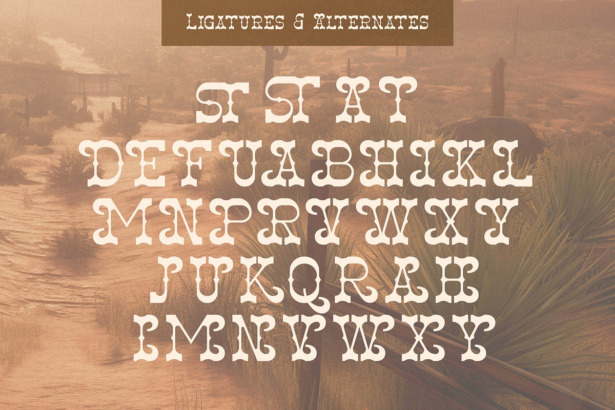 Aldest Tanigo | Western Slab Serif, a Slab Serif Font by Denustudios (Photo 12 of 14)