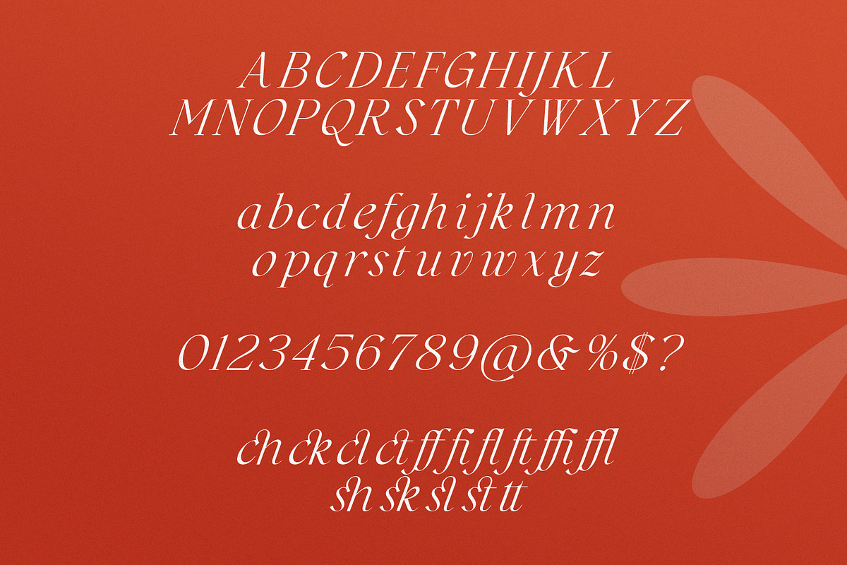 Westbourne - Modern Serif Typeface, a Serif Font by Typetemp Studio (Photo 16 of 17)