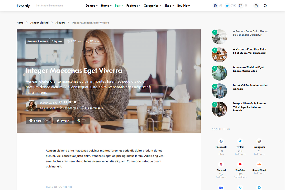 WordPress Minimal Blog Theme, a Landing Page Template by Elite Templates (Photo 5 of 9)