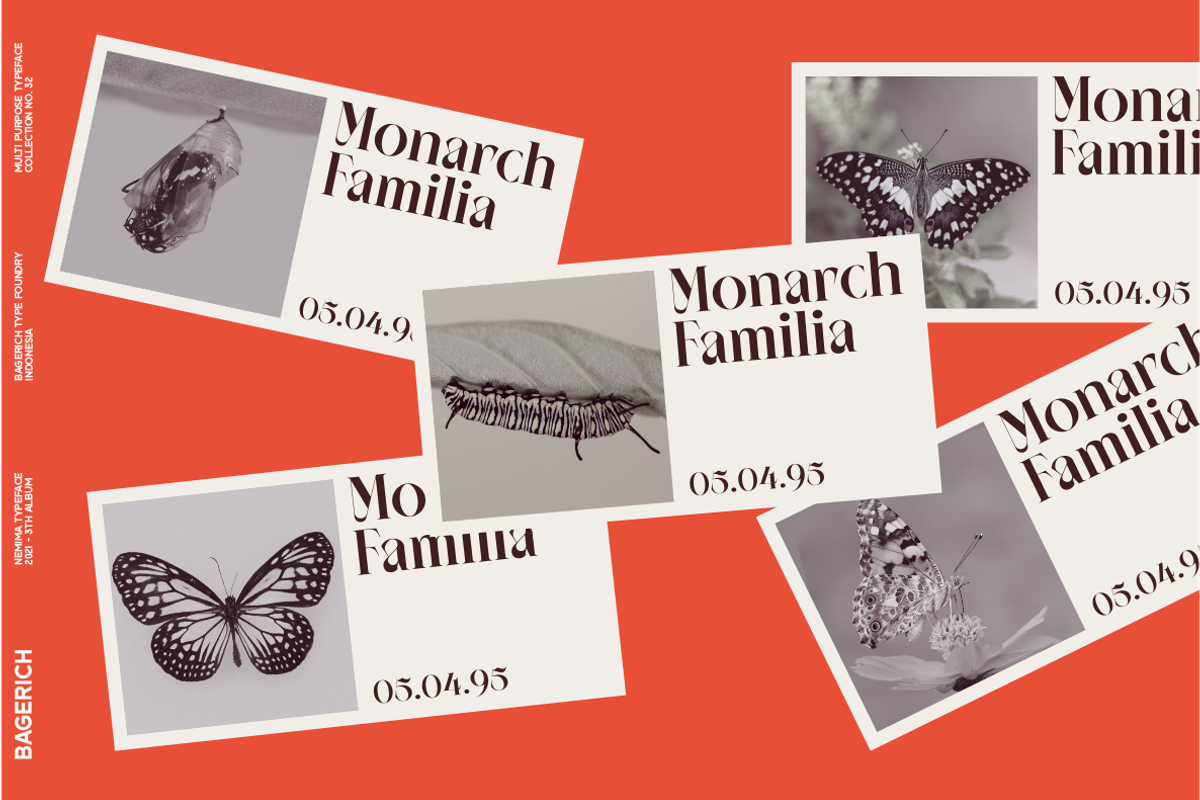 NEIMA, a Serif Font by Bagerich Type Foundry (Photo 13 of 15)
