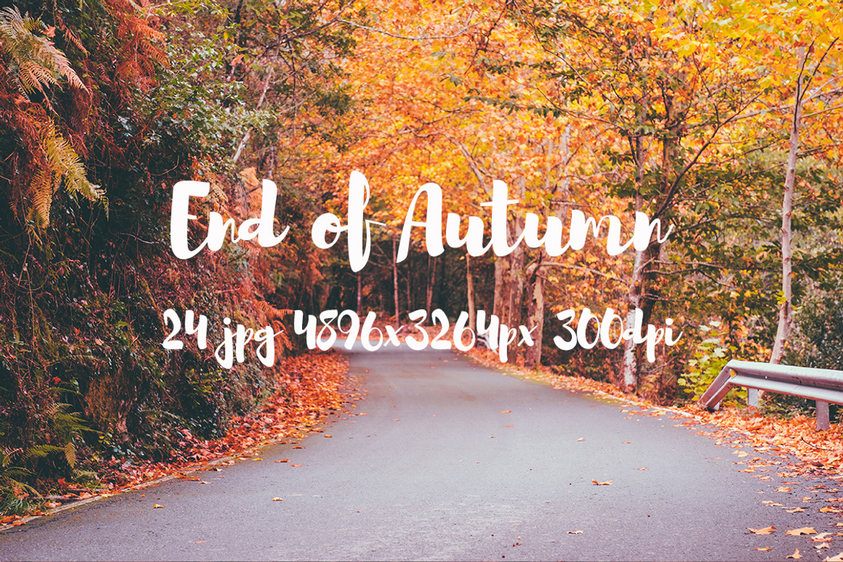 End of Autumn photo pack, a Templates & Theme by ApertureVintage (Photo 11 of 14)