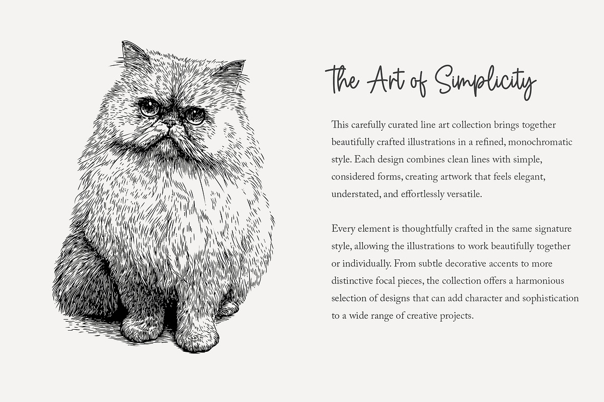 95 line art Cats clip art, an Animal Illustration by Poppy Lane Studio (Photo 7 of 12)