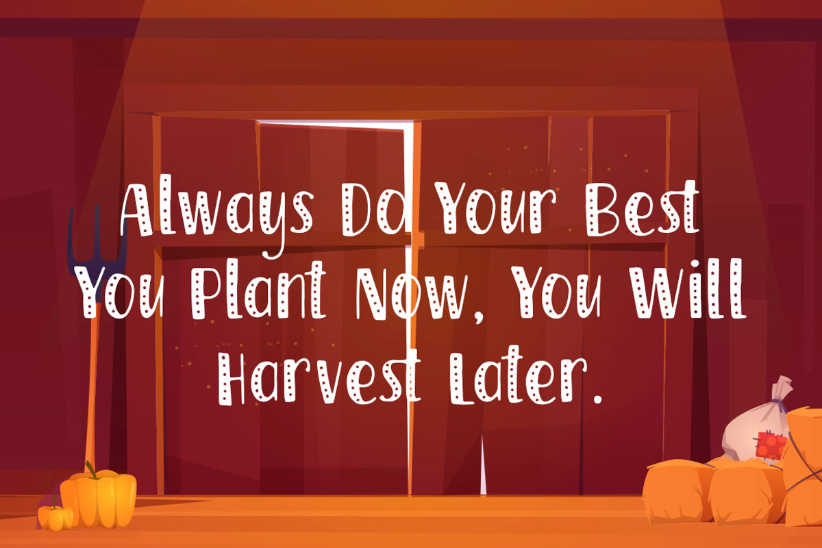 Harvest Time - Sprinkles Unique Font, a Font by Typefactoryco (Photo 4 of 8)