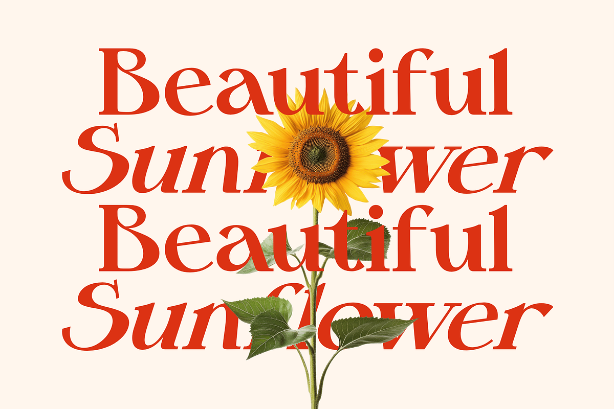 Belma Moghena - Decorative Serif, a Serif Font by Bring To Type (Photo 3 of 10)
