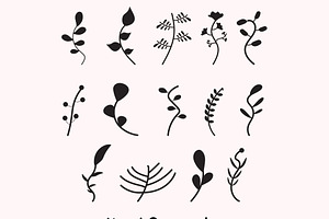 Hand Drawn Leaf Set Vector, an Illustration by M9 Design
