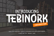 Tebinork - Corporate Display Font, a Handwritten Font by trabaskriya (Thumbnail 1 of 9)