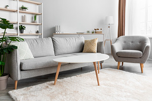 Beautiful living room interior with comfortable gray sofa and armchair, a Photo by Prostock-Studio