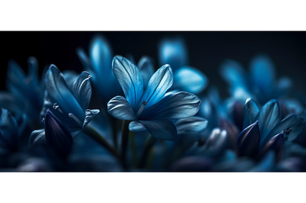Bluebell Flowers Background, a Nature Photo by BazziBa♥