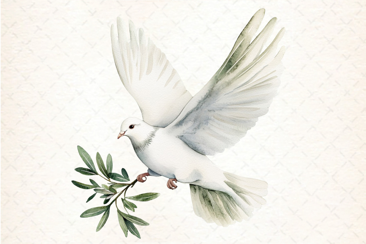 Cute Christmas Nativity Clipart Bund, an Illustration by DreamCafeArt (Photo 5 of 6)