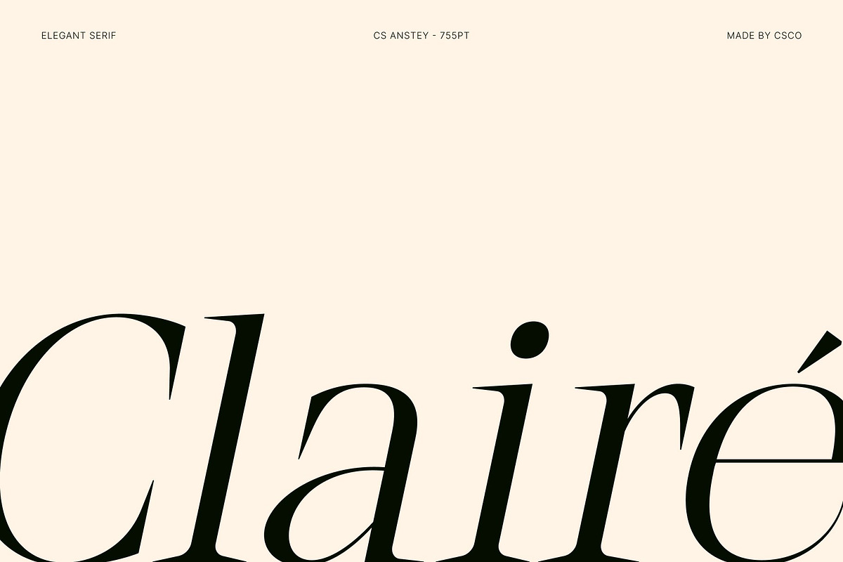 CS Anstey – Elegant Serif Font, a Serif Font by Craft Supply Co. (Photo 2 of 8)