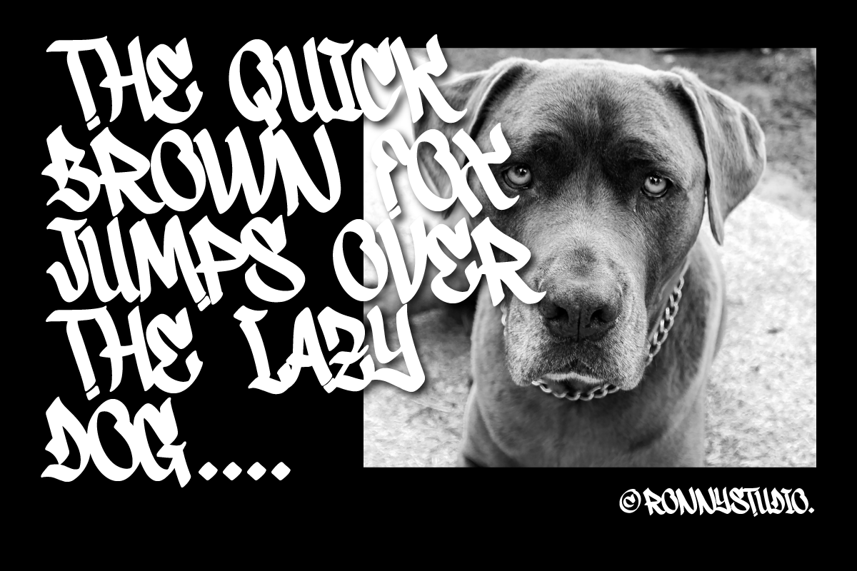 Snikers Bold Urban Graffiti Font, a Blackletter Font by Ronny Studio (Photo 8 of 8)