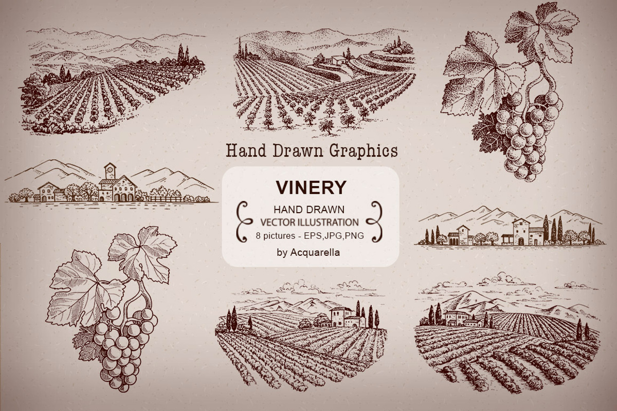 VINERY Graphic illustrations set, an Illustration by Acquarella (Photo 2 of 2)