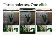 Verda Shopify Theme, a Shopify Template by Ibnul Jaif Farabi (Thumbnail 3 of 8)