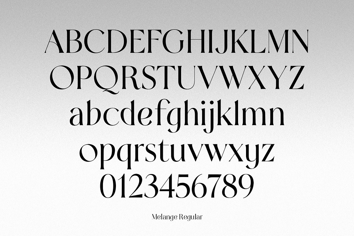 Melange - Serif Font Family, a Serif Font by Dauum Works (Photo 14 of 14)
