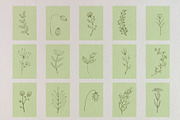 Just hand-drawn leaves, a Decorative Illustration by tinybunnyshop (Thumbnail 4 of 11)